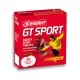 GT Sport